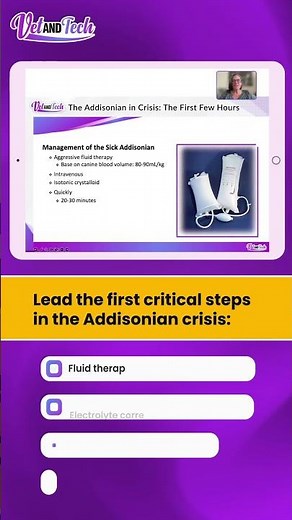 The Addisonian in Crisis: The First Few Hours