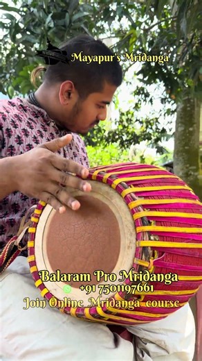 🌟 premium quality Balaram pro🪘Shipping to delhi 🚛