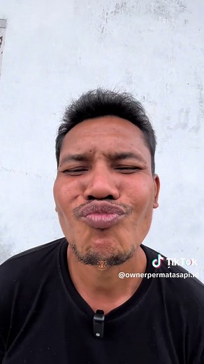 Sapi dengan penggemukan yang tercepat bolo #permatasapi #peternaksapiindonesia #sapi #sobatngaret #fyp