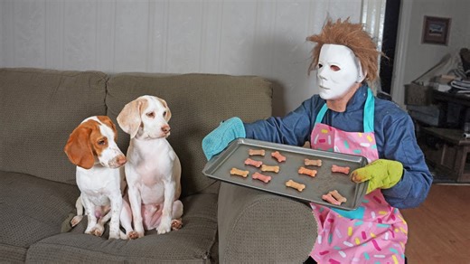 Dogs befriend a costumed Michael Myers