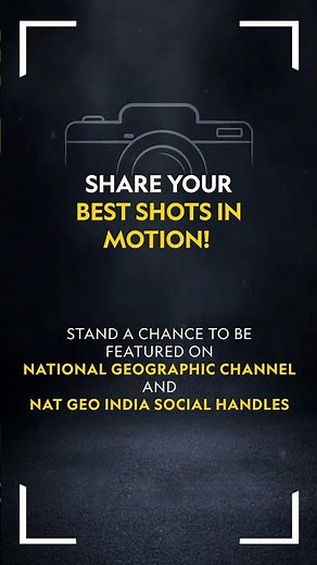 Capture In Motion | National Geographic India