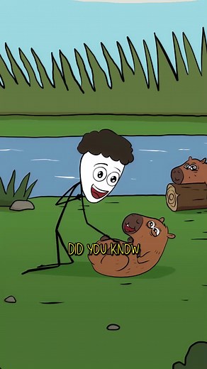 Why Capybaras Eat Their Own Poop