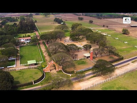 Poonawalla Stud Farms