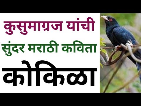 मराठी कविता कोकिळा. Marathi poem Kokila . कवी कुसुमाग्रज यांची अतिशय सुंदर मराठी कविता .