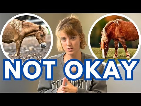 SIGNS YOUR HORSE IS NOT HEALTHY