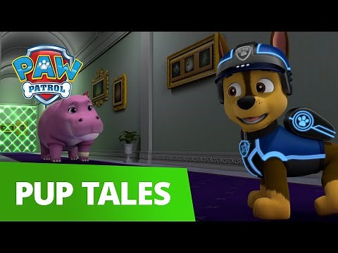 PAW Patrol - Pups Save The Princess' Pals - Rescue Episode - PAW Patrol Official & Friends!