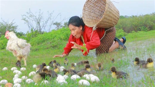 3.2K views · 31 reactions | cooking in forest- women help baby monkey-woman & monkey find food meet 2 duck | CHEF GIRL | Facebook