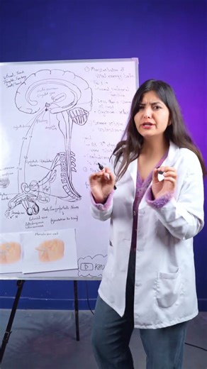 How Semen Travels Through Your Body | Dr Sonali