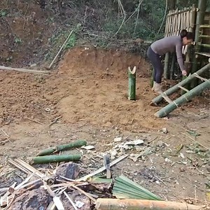 64K views · 1.4K reactions | Completed the house, caught snails, picked wild eggplants, and went to the market to sell 001 | Ellie | Facebook