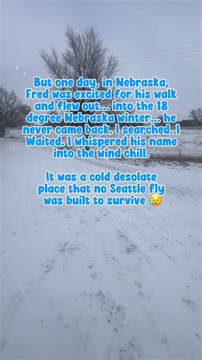 The tragic loss of a crew member. 🎻 #Trucking #Comedy