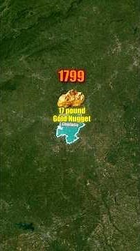 Interesting Facts About Charlotte!