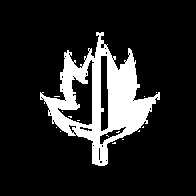 Wood Half-Elf | Baldurs Gate 3 Wiki