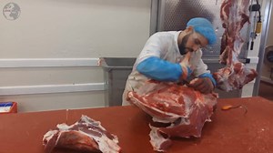 35K views · 360 reactions | Angajăm persoane serioase în Olanda la...