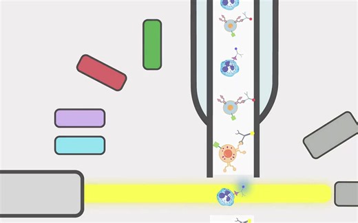 流式细胞术的原理与应用