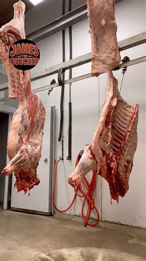 How to Quarter Beef 🐄 #beef #food #tutorial #steak #cow #howto #shorts #like #butcher #trending