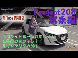 Kei Takeoka's Peugeot 208 [Peugeot208] Test Drive Edition