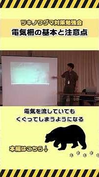 Black bear countermeasures study session: Electric fence edition #FukushimaCity #BearCountermeasures