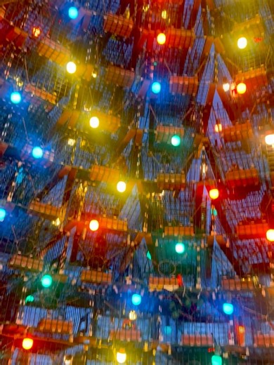 𝐉𝐞𝐧 ⚓️ 𝐑𝐡𝐨𝐝𝐲𝐓𝐫𝐚𝐯𝐞𝐥𝐬 & 𝐑𝐡𝐨𝐝𝐲𝐁𝐥𝐨𝐨𝐦𝐬_𝐑𝐈 on Instagram: "🎄 Welcome to the 5th Annual @stonington_lobster_trap_tree Now on display and fully lit through January 4, 2026. This stunning 40ft coastal art installation is built from 460 lobster traps and topped with 460 hand-painted buoys created by artists from across Connecticut and Rhode Island. ✨ Lighting Schedule: The tree is illuminated nightly from 4:30 PM - 9:30 PM and continues to shine over Stonington Harbor until its