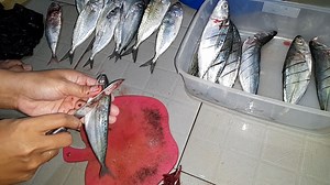 6.6K views · 18 shares | Easy and simple way to clean fish #Fish | Mumu Kitchen | Facebook