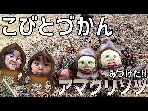 【こびとづかん】アマクリソツみつけたよ！