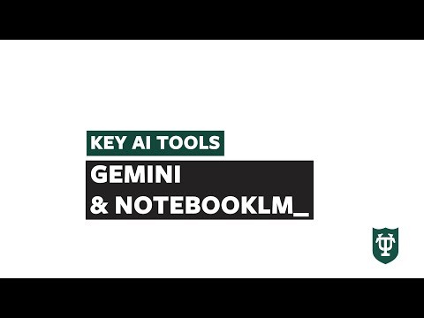 Key AI Tools: Gemini and NotebookLM (All About That Context Window)