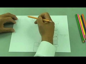 Estructuras y triángulos del cuello