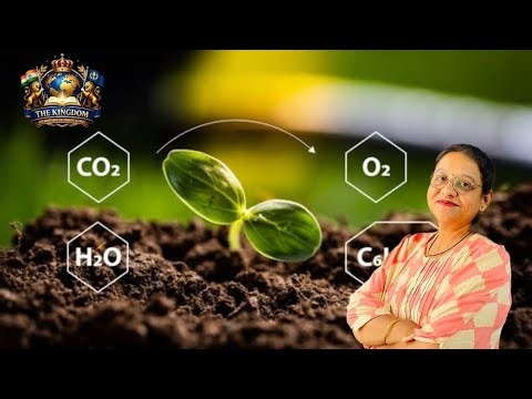 Photosynthesis - light reaction and dark reaction |Class 11 | State board | NEET | other exams