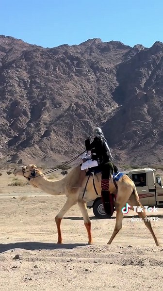 ‏#اكسبلور #هجن_الشمال