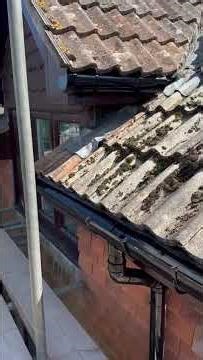 Roofline Replacement - Fascias, Soffits and Guttering