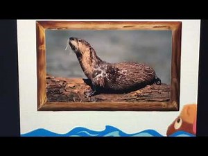 Baby Einstein Wild Animal Safari otter