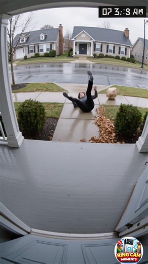 Porch pirate got taken out by leaves 😭📦🍂 #instantkarma #ringcamera #funny #funnymoments