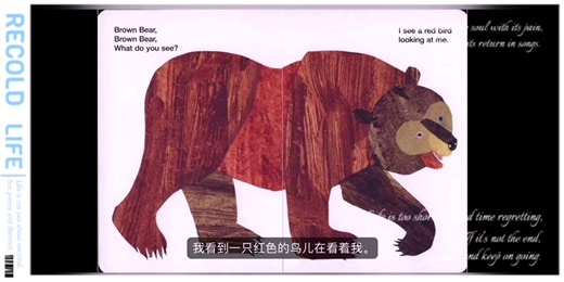 幼儿启蒙英语儿歌《brown bear 》