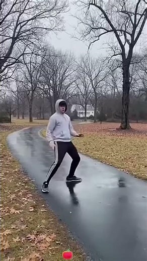 What Happens When Lightning Hits a Tree? ⚡🌳