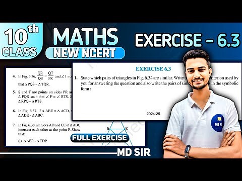 Class 10 Maths Chapter 6 | Triangles | Exercise 6.3 Solutions