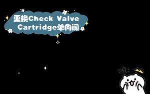 更换Check Valve Cartridge单向阀