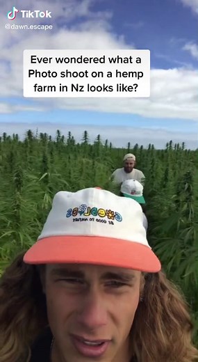 Jake and Katie on TikTok