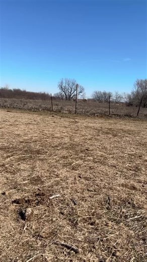 Vinnie; Certified Troublemaker! Stubborn and Proud 🙃 #donkey #mischevious #troublemaker #adorable #cute #bigears #donkeysoftiktok #cuteanimals #rescue #animalsoftiktok