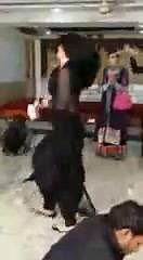 7.4K views · 47 reactions | HD songs punjabi on Reels | Facebook