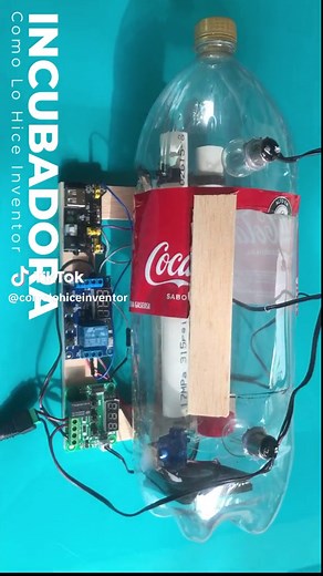 Cómo Construir una Incubadora de Pollos Casera