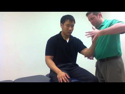 Upper Cut Test: Biceps