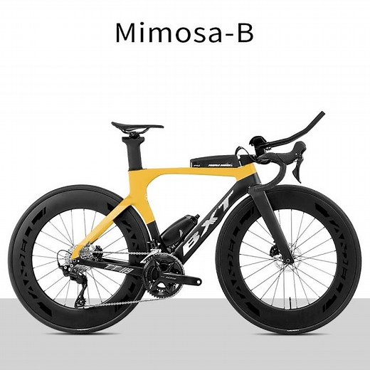 BXT 119 Carbon Road Bike | Complete Carbon Road Bike Build