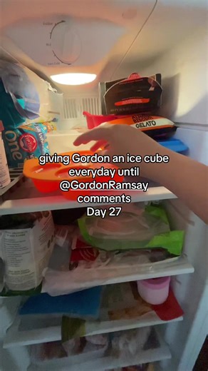 Gordon Ramsay and Ice Cubes: Day 27 Challenge