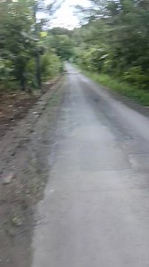 6.5K views · 98 reactions | Yellow is the code | No Links | Facebook