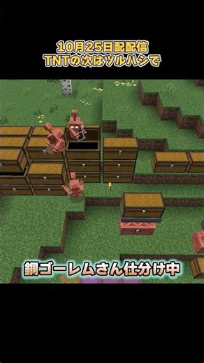 【マイクラ】銅ゴーレムさんアイテム仕分け中【Minecraft】#shorts #マイクラ #マインクラフト #minecraft