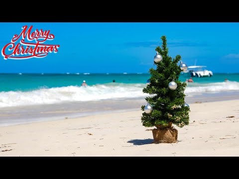 Christmas Jazz Music at Tropical Beach Ambience 🎄 Relaxing Jazz Music & Waves Sounds for Happy Mood