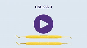 CSS 2 & 3