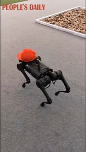 Showtime! Robot dogs have become one of the most eye-catching items at the China International Fair for Trade in Services (#CIFTIS) in Beijing. | People's Daily, China