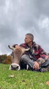 The simple life✨ | Joar Berge