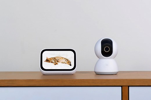 Mejores cámaras de vigilancia: cuál comprar y 11 modelos recomendados para interiores, exteriores, bebés y mascotas