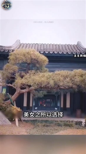 34K reactions · 112 shares | WamIndia Movies B4U Movies #explainedinhindi #hindimovie #entertainment #movieclips #movies #hindiexplained #Explained #explain #movie | Mushyyab Malik | Facebook